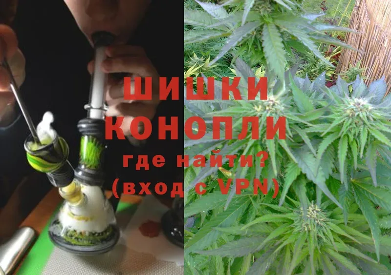 где купить наркотик  Кострома  hydra онион  Марихуана White Widow 